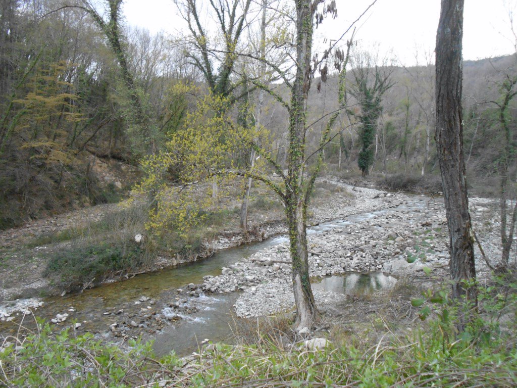 Amiatavideo's tweet photo. Vecchio #ponte Da #Casteldelpiano in direzione #Paganico, ormai in disuso. Sotto scorre il torrente #zancona #amiata https://t.co/7vuZIqoshD