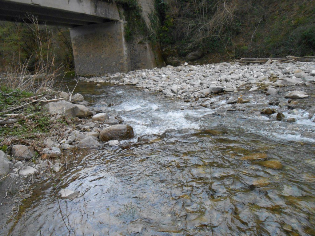 Amiatavideo's tweet photo. Vecchio #ponte Da #Casteldelpiano in direzione #Paganico, ormai in disuso. Sotto scorre il torrente #zancona #amiata https://t.co/7vuZIqoshD
