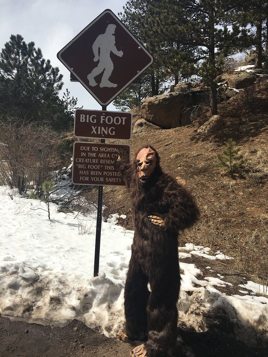 VisitCOS's tweet photo. Look who we found wandering #PikesPeak #BFFCOS https://t.co/fkAH71ipAt https://t.co/TlTTwyfE4F