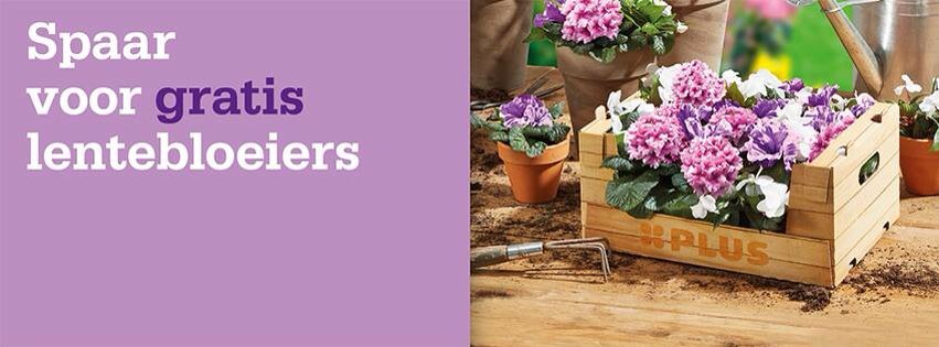 RoselifeBV's tweet photo. We hebben er weer zin in🌺🌸🌼 https://t.co/127kxX7sXE