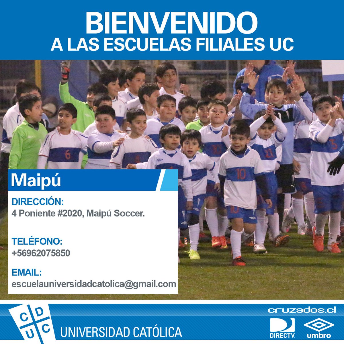 Dibujos Recientes - Los Cruzados - Universidad Católica, image size:1200x1200