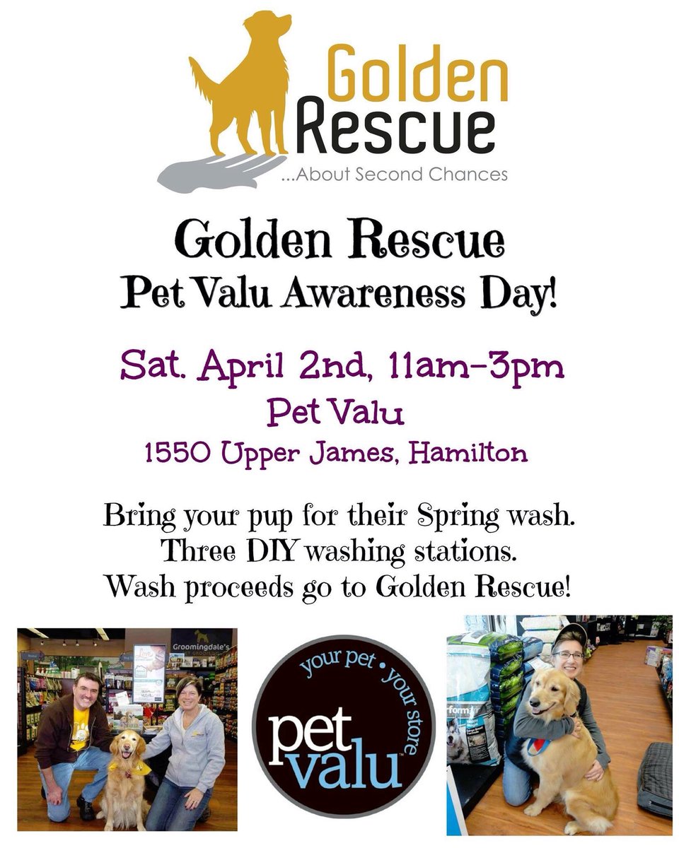 GoldenRescue's tweet photo. Tomorrow 04.02 visit @PetValuHamilton to have your #dog #shampooed! All proceeds go to #GoldenRescue! #adoptdontshop https://t.co/jHViigaZhZ