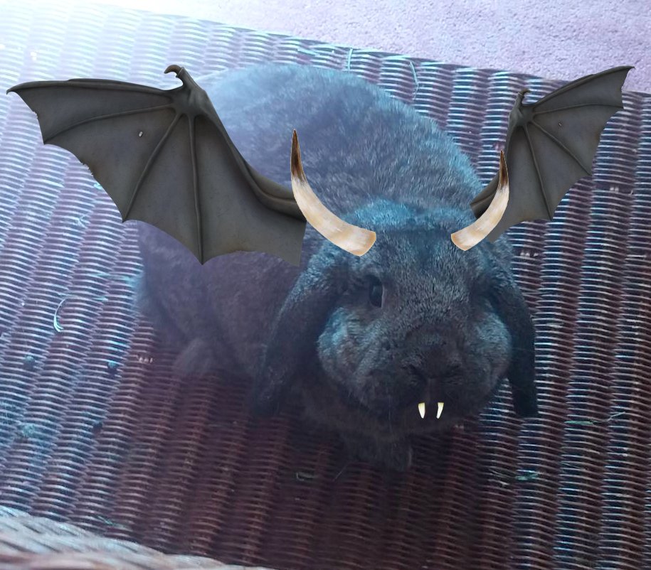 I'm a full grown #wolpertinger, horns and all! <a href="/CincinnatiZoo/">Cincinnati Zoo</a> <a href="/FOX19/">FOX19 NOW</a>Frank @FOX19 <a href="/ThaneMaynard/">Thane Maynard</a> #wedoexist