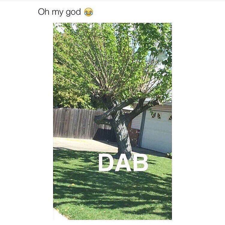 ParmeSANDS's tweet image. ...BIRCH DAB

#TreeJoke