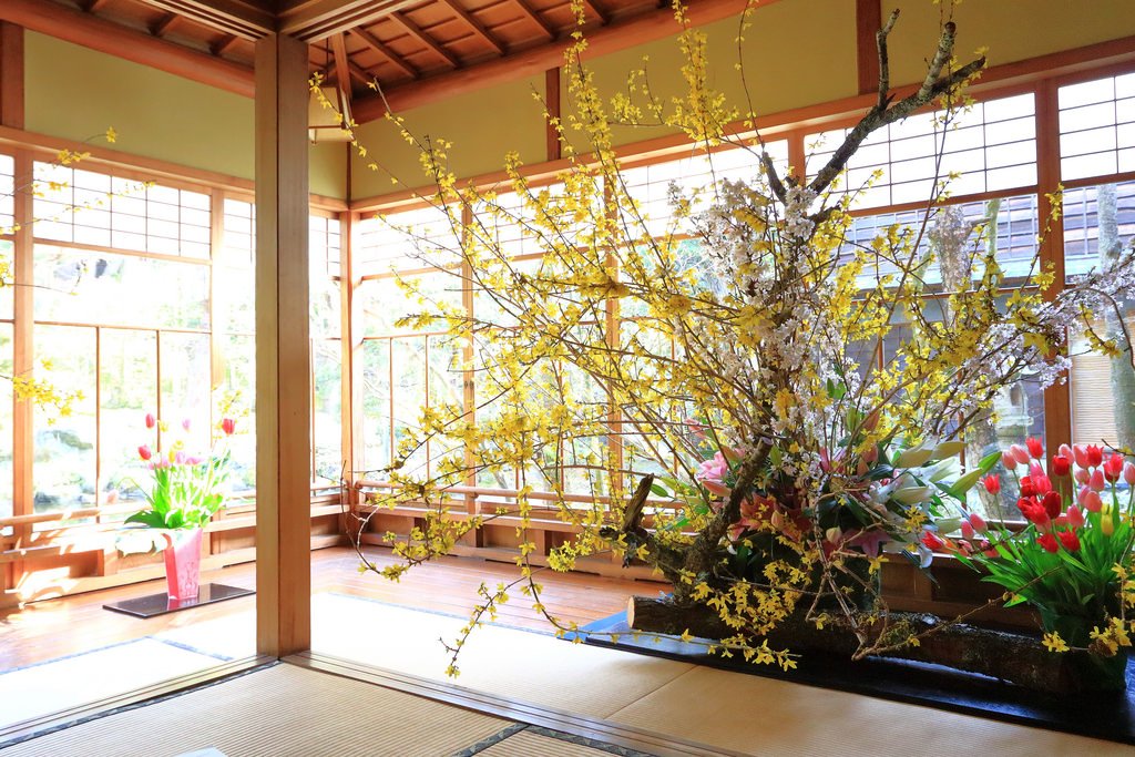 qsaitouke's tweet photo. 「假屋崎省吾の世界展」開催中です。お花も咲き揃ってきました。 https://t.co/YoPxAPL2C7