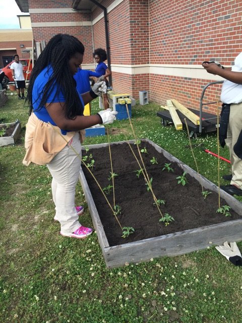 AEBeach_High's tweet photo. @AEBeach_High Recycle Club starts our spring garden....  @SCCPSS @OfficialHLTYSAV https://t.co/OgG7qt8QLI