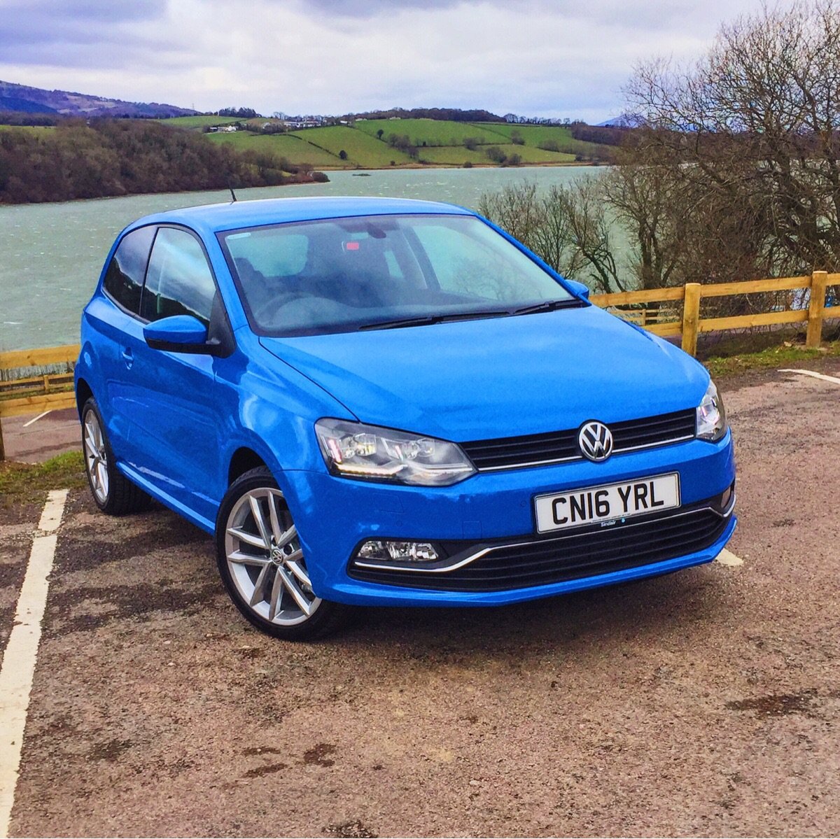 VDub Club® tweet media