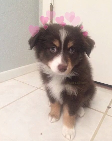 LouisRPGDO's tweet photo. Bébé princesse. https://t.co/N1bvnDCNHf