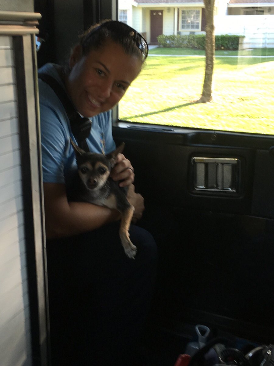 MiamiDadeFire's tweet image. #InBetweenCalls, #MDFR crew on A43, reunited this puppy with its family. #OurCommunity. #AlwaysReadyProudToServe
