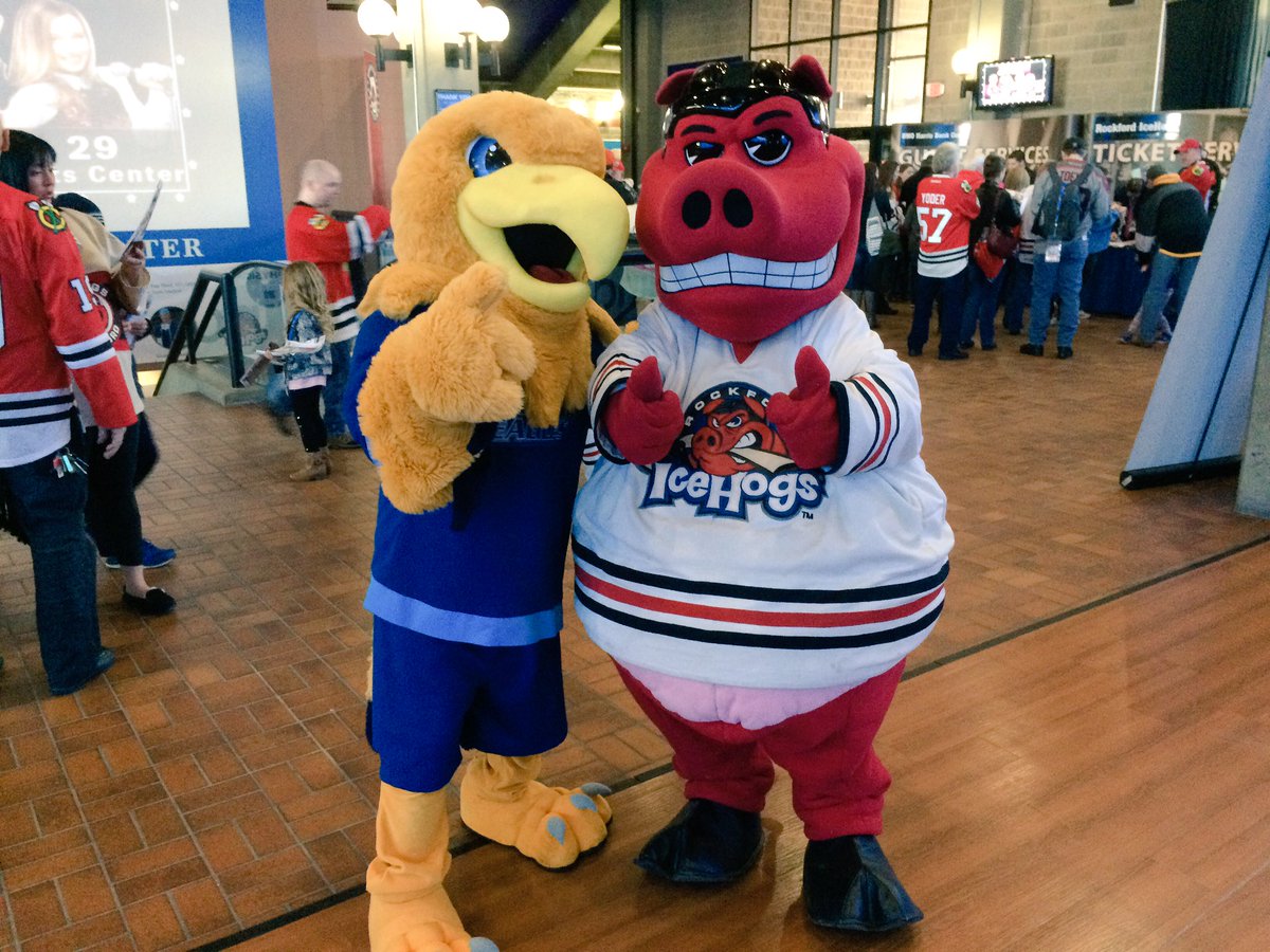 rvcgoldeneagles's tweet photo. It's #RVC Night at @goicehogs! Come say hi to @ArveeCEagle if you see him! https://t.co/2numWaTMmQ