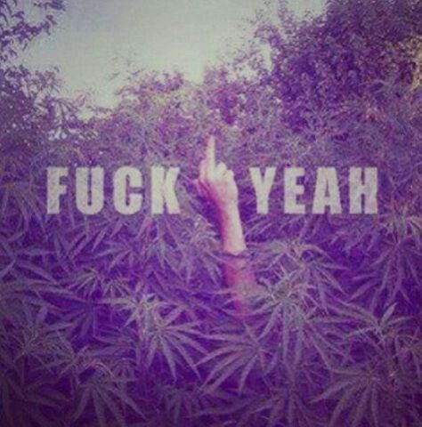 Lokis420Life's tweet image. I'm feeling this one... #GrowingPot #MarijuanaSavesLifes #CannabisMovement #EndProhibition #Legalize #420life