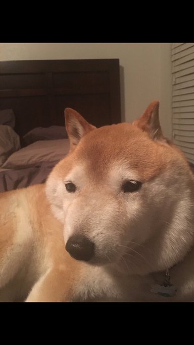@SydneyScreams4u I looked at it again https://t.co/mK4T4JNYPW<a class="tags" target="_blank" title="On Twitter" href="/?out=eyJ0eXAiOiJKV1QiLCJhbGciOiJIUzUxMiJ9.eyJpYXQiOjE3MjUzNDYxOTYsImlzcyI6InR3cG9ybnN0YXJzLmNvbSIsIm5iZiI6MTcyNTM0NjE5NiwiZXhwIjoxNzU2ODgyMTk2LCJyZWRpcmVjdF91cmwiOiJodHRwczovL3R3aXR0ZXIuY29tL1N5ZG5leVNjcmVhbXM0dSJ9.y1qczfdvPhg6hBahXaLExvKIhC3WDrEnnfsIfjMYXM0A6pbeDsL2eRZr-3gBF4XPQeHD8bt_6QxBePw1X_SErg">@SydneyScreams4u</a><a href="/tag/twitch"class="tags"><span>#twitch</span></a><a href="/tag/mytimeatportia"class="tags"><span>#mytimeatportia</span></a>