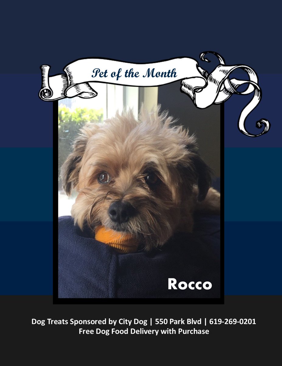 Who wouldn't love this adorable face! Make sure to say hello to Rocco the next time you see him!