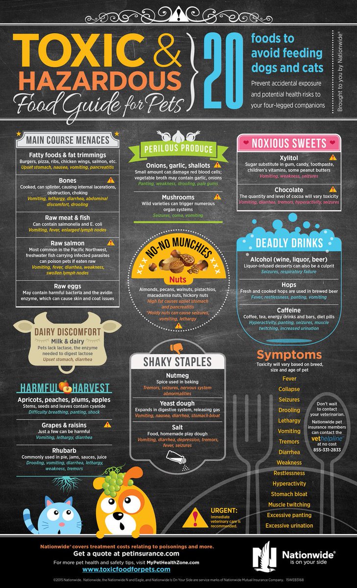PortRoyalVet's tweet photo. Do you know which foods are toxic for pets? https://t.co/yJxHfrnDHC #pets #dog #cat #toxic #food #vet #veterinarian https://t.co/wkBtz4tov7