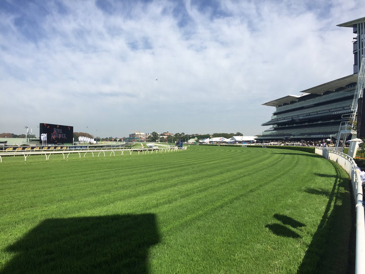 MattJenkinsATC's tweet image. Shaping as a cracking day @royalrandwick for Day 1 @ChampionshipsRR. #GoodStanding in Sires. 🏇😎