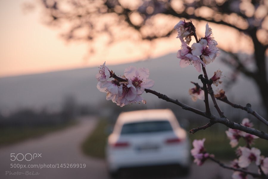 Fatima_ZE's tweet photo. It's time to stop. Take a deep breath and exhale all the stress of the week.

#picsher #photography https://t.co/jqVbOioC23