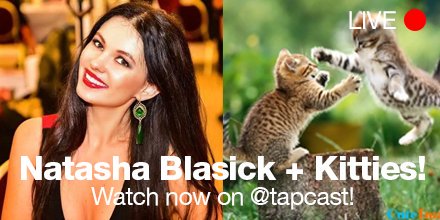 Tapcast Music tweet media