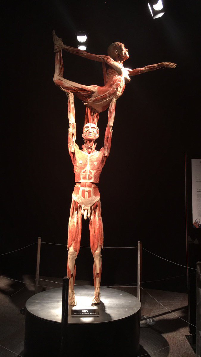 pasfanta's tweet image. #bodyworldsclt