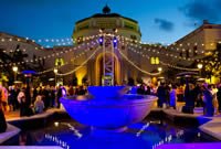 USD Alumni Association tweet media