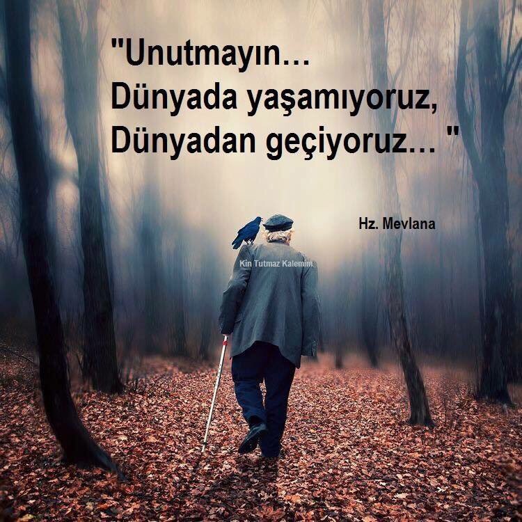 senocakselim's tweet photo. Ey insanoğlu!
Unutma bu kainatin bir sahibi var...
Ahiret var...
Mahkeme-i Kübra var... https://t.co/z2BZJKOwoc