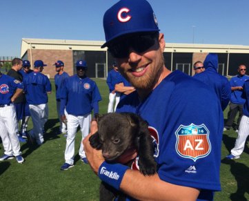 AZSports's tweet photo. Chicago Cubs (humans) and actual cubs (bears) interacted today - https://t.co/5HaYHPIT9K #HaboobBlog https://t.co/gI6BVm2Mam