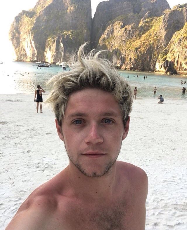 makeupcelebz's tweet photo. niall horan https://t.co/kDobm94vyD
