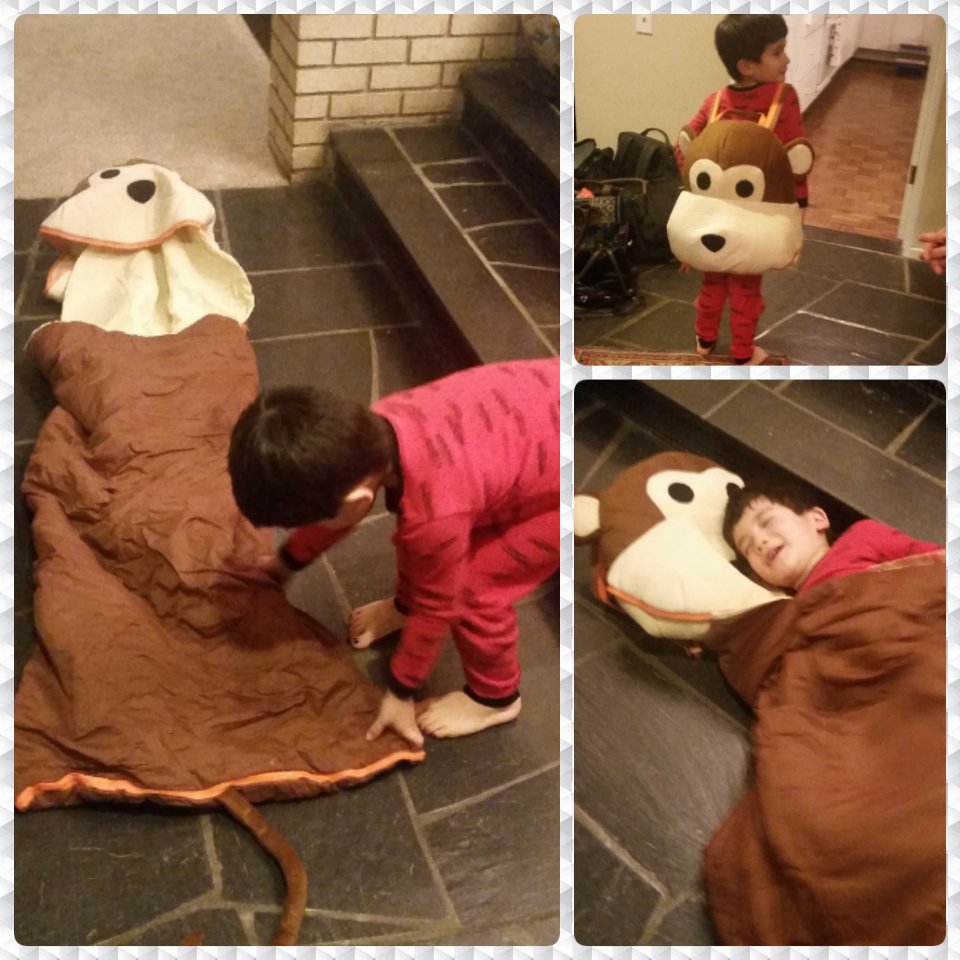 trav_e_lee's tweet photo. I think someone likes his new sleeping bag. #monkey #slumberfest #lastminutevisit #GoodFriday https://t.co/LEYClKN05Q