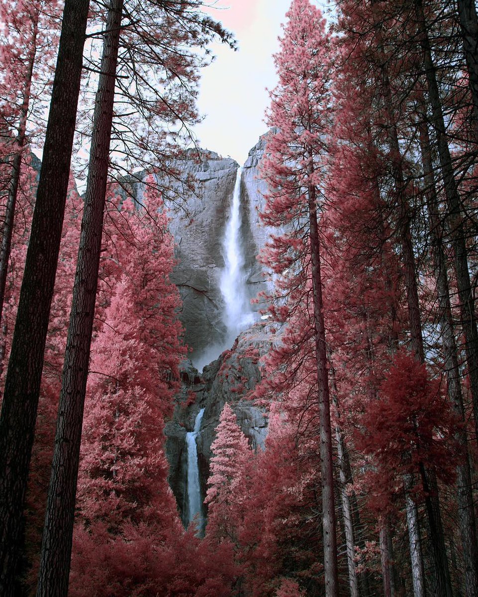 EarthPix's tweet photo. Yosemite National Park shot in infrared | Photo by Brendan Bannister (@sir.brendan on IG) https://t.co/YfCmZiqmrZ