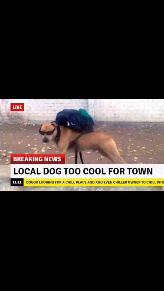 Bradydizzle's tweet photo. https://t.co/lozsTLnRdw
