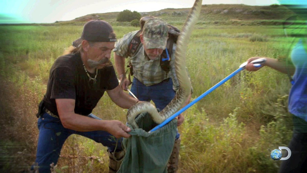 VenomHuntersTV's tweet photo. Check out some of the best moments from Season 1 of #VenomHunters! >> https://t.co/EGoxSQL2zU https://t.co/XTI6vN4lVw