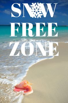 PlazaResorts's tweet photo. You know what's good about THIS Friday? #stpetebeach #SnowFreeZone #plazabeachresorts https://t.co/0gTNDrnsaP