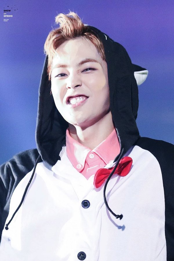 kbefandafter's tweet photo. xiumin ✨ kim minseok (김민석) ✨ exo ✨ #HappyXiuminDay https://t.co/6vDSLIqSr0