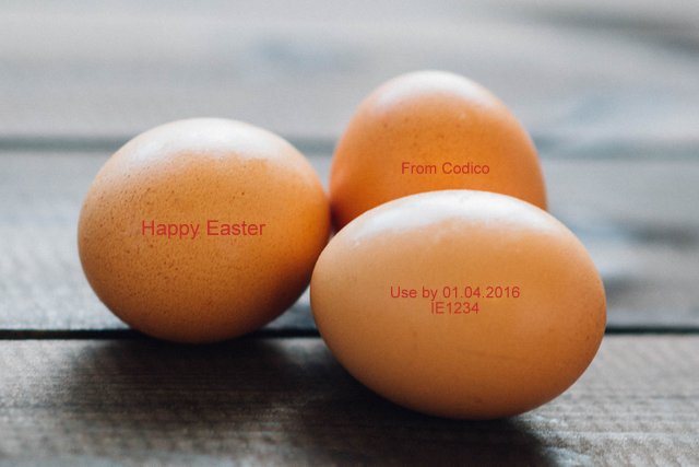 CodicoDist's tweet photo. Happy Easter from all at Codico #eggscellent #eggcoding #dominodomore https://t.co/BNfY3nRoR8