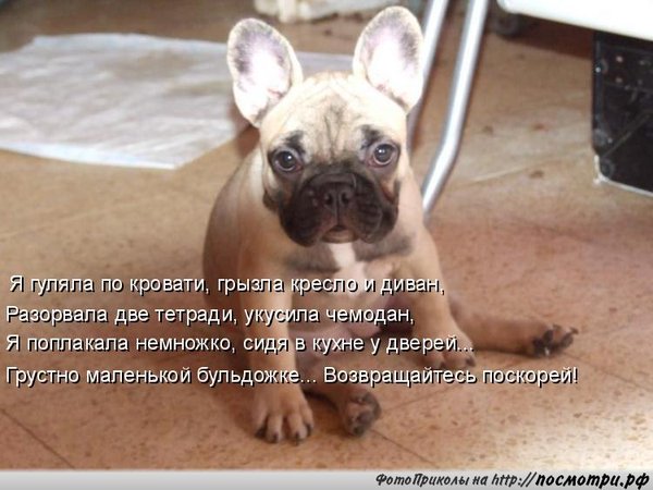 <a href="/nalbakrinoff/">Наталья Альбакринова</a> Привет, Натуль и трусьяшки))<a href="/5007003/">Елена</a> @rvh111xx <a href="/MUR5879/">В,С,Ч, М .</a> <a href="/reka714/">Виктор Девятериков</a> <a href="/miki__ceo/">Никита Арсеньев</a>