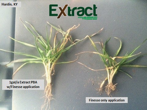 growloveland's tweet photo. Get the most out of what you've put in this season with #Extract #ExtractHunts4NPK https://t.co/BPx5pO5tLg