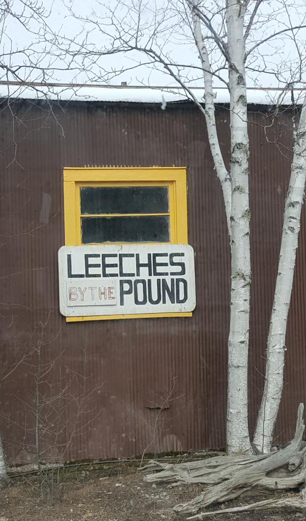 EnglishTeach07's tweet photo. Just need 1/2 lb, please. #MNAdventure https://t.co/s5zf2txJuo