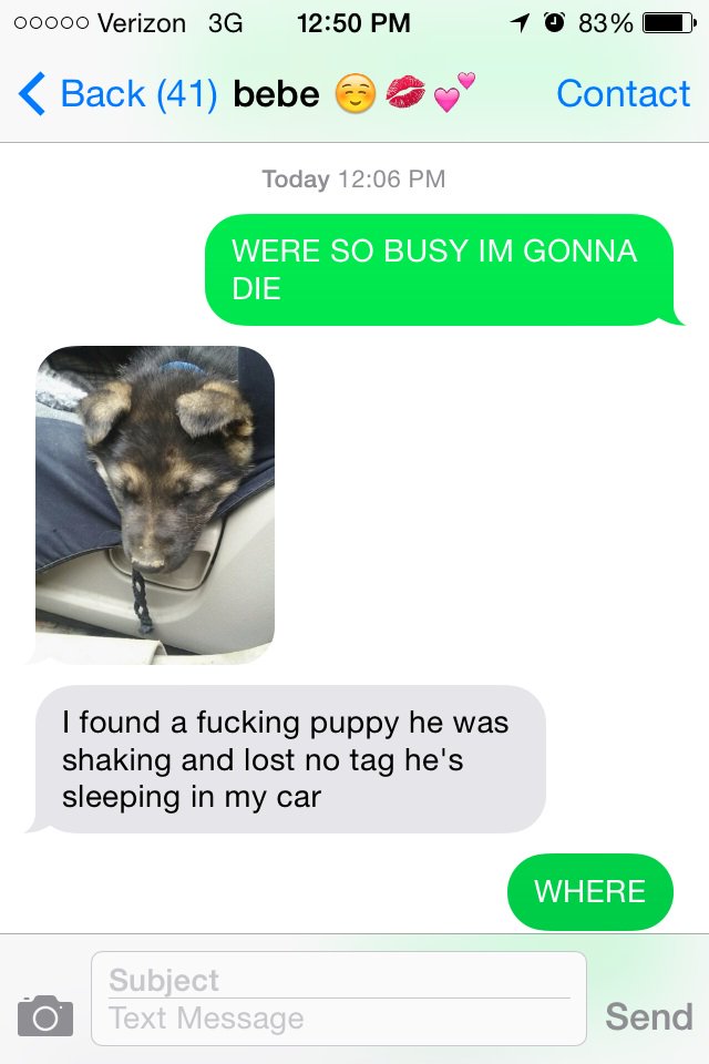 aleighc33's tweet photo. when you're at work, and your boyfriend finds a puppy..... lol https://t.co/5SLKCZemNB
