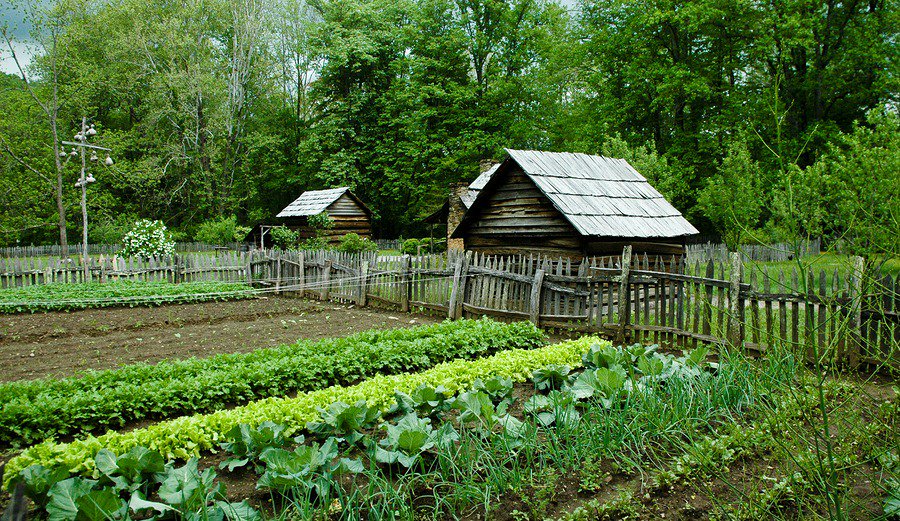 Spring Has Sprung: It’s Time to Plant Your Garden buff.ly/1Rw951a