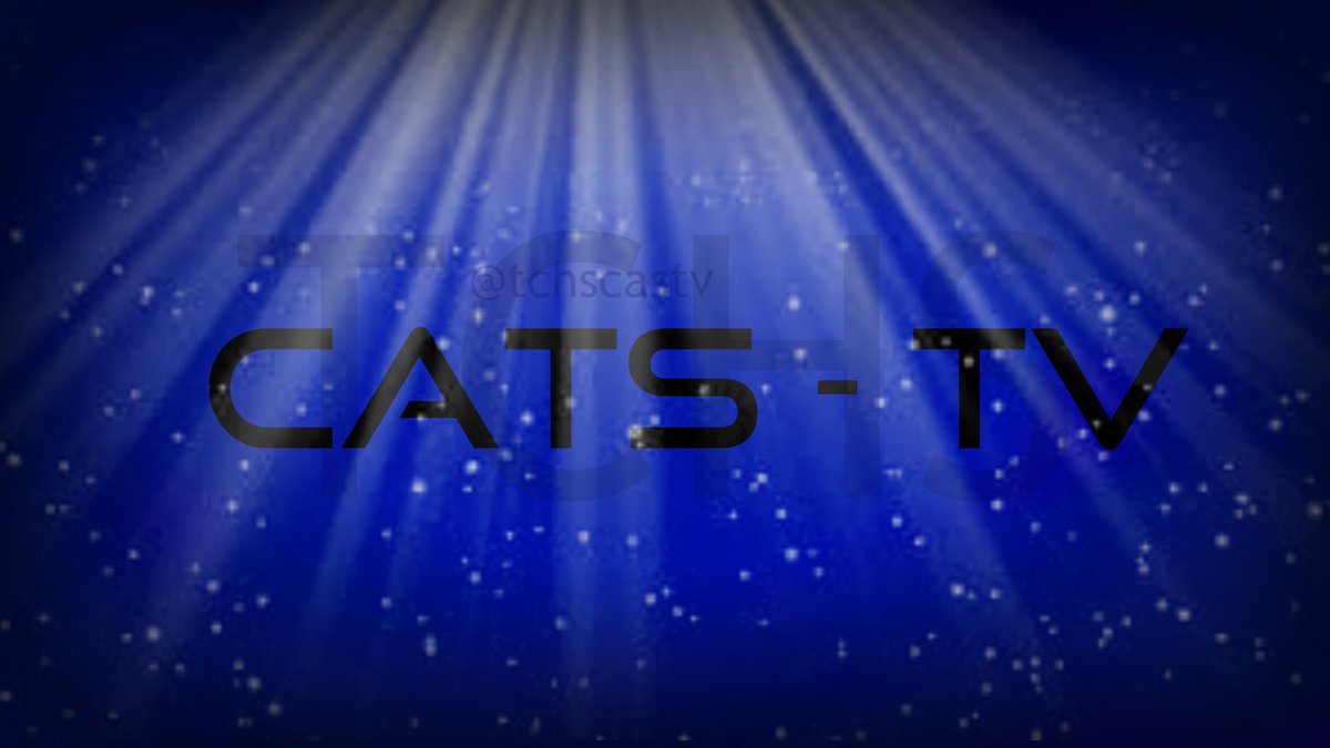 tchscatstv's tweet photo. subscribe to the cats tv youtube channel ( link in bio ) https://t.co/q0R31acYR4