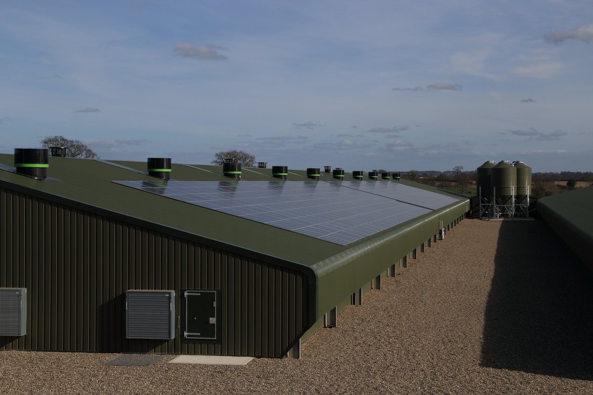 Michaela Ann Gourlay tweet media