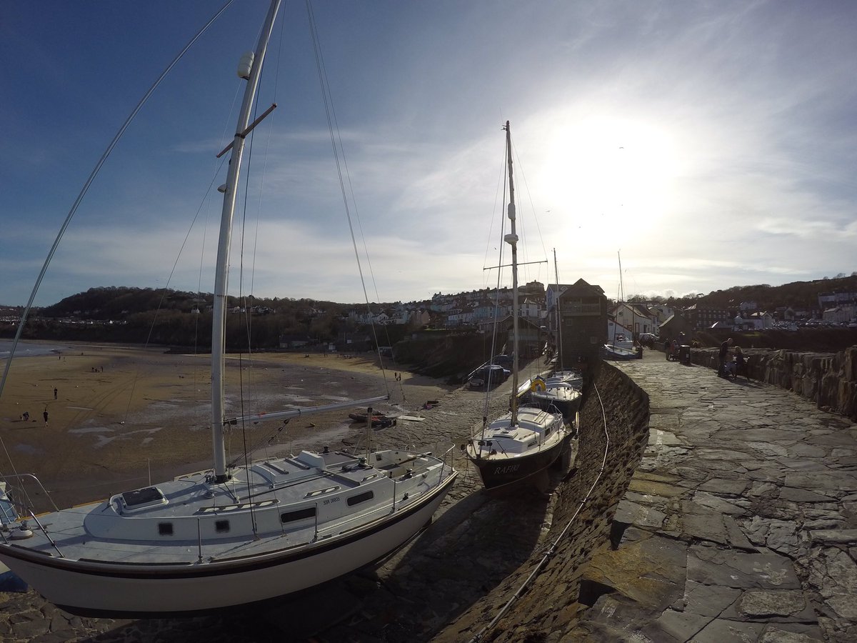 TD11_'s tweet photo. A few from New Quay basking in sunshine this afternoon. Still cold though. #Wales #NewQuay #GoPro #decentFriday https://t.co/PFDpjKsuRY