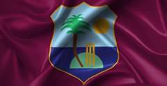 So_Jo1's tweet photo. #Rally for the Windies! @WindiesIntl #T20WorldCup https://t.co/z5yngoA2DD