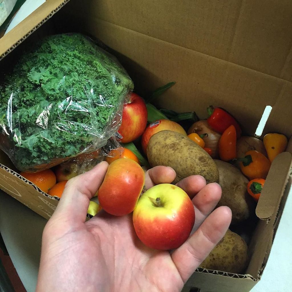 HungryHarvest's tweet photo. Tiny apples coming your way this weekend! #uglyproduceisbeautiful #tinyapples #hungryharvest #wastefreeweek #health⦠https://t.co/Rd5lZZjjLQ