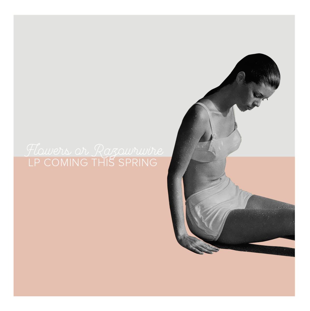 Dopo tanta fatica possiamo finalmente dire che "SUMMERISE" l'album di FLOWERS OR RAZORWIRE uscirà a brevissimo.