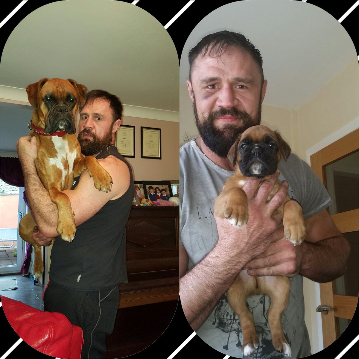 BebeMcdermott's tweet photo. My boy Romè 1yr tomorrow 💕this dog https://t.co/4VxdcCIFpH
