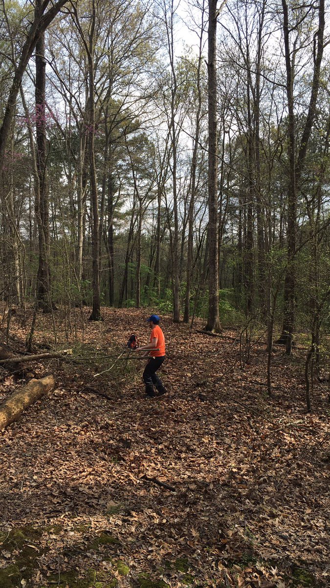 RobbieRob14's tweet photo. Spent the morning making improvements to the local disc golf course! #GrowTheGame #OneNationUnderPar https://t.co/u41VQpXTTb
