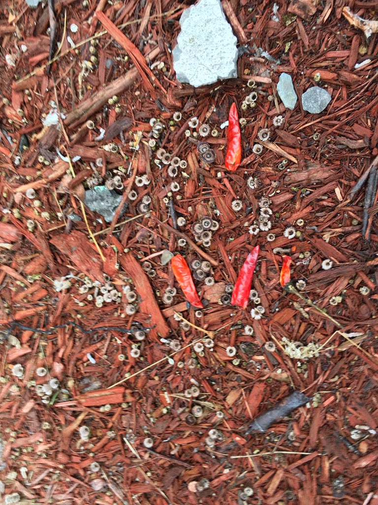 ariannareid's tweet photo. yeah I guess it's kinda chili out here https://t.co/pFzjLOT0tv