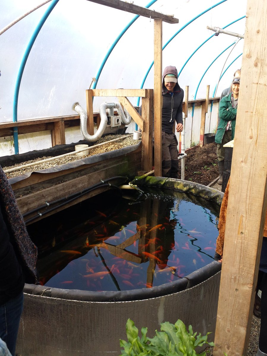 SocialCoast's tweet photo. Aquaponics tour at Mason street farm great #foodsystem technology https://t.co/estMvAlJqw