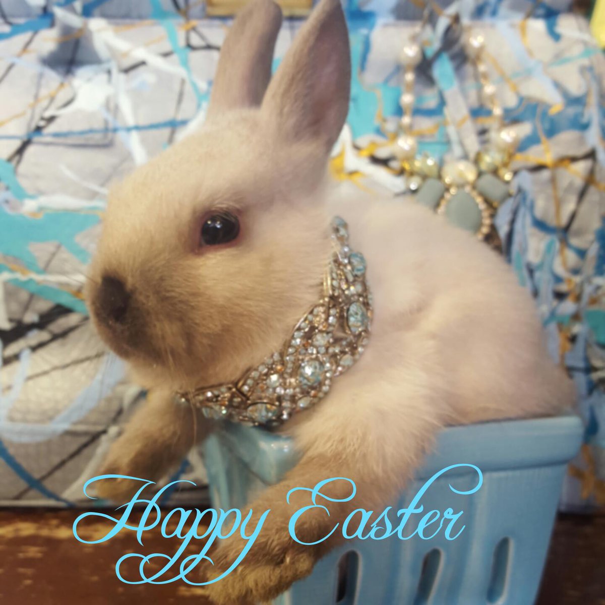 amynixinc's tweet photo. Wishing everyone a very Happy Easter. #bunny#glamour#fashion#spring https://t.co/Qfmw91MYpe