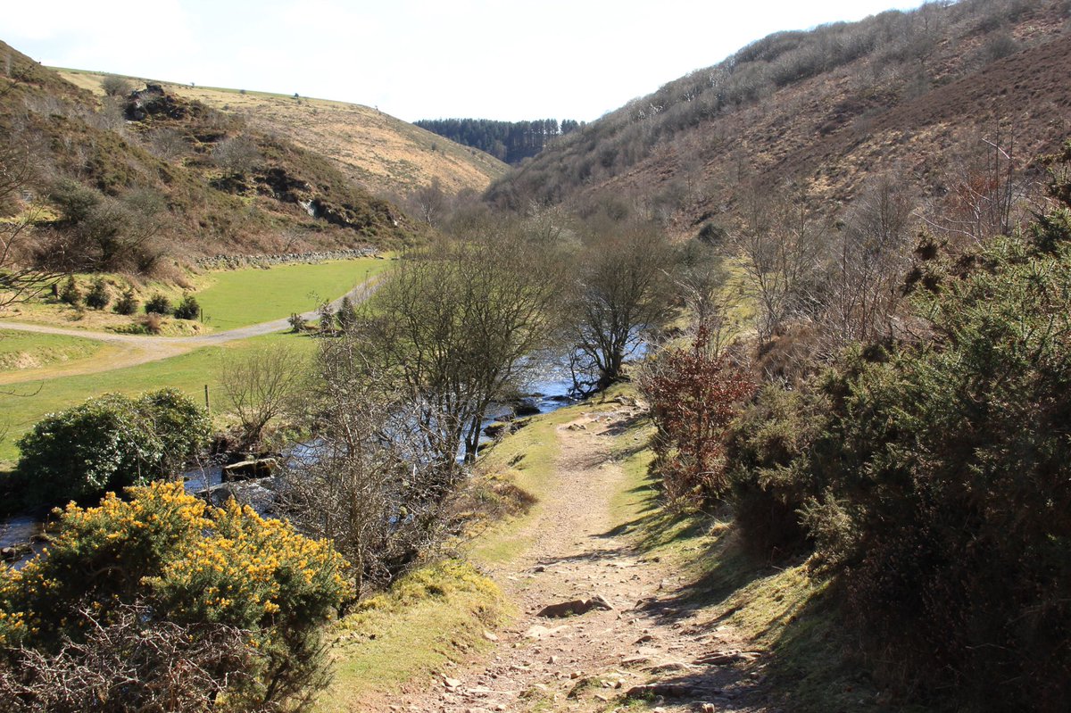 Badgworthy Water @ExmoorNP #doonevalley #exmoor #somerset #devon